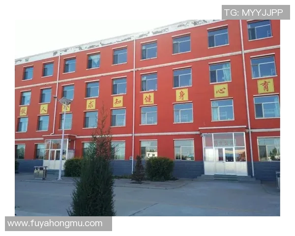 篮球巨星风云录：从街头少年到世界舞台的辉煌征程